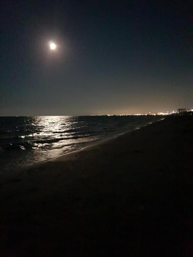 Garsoniera Bya Mamaia Nord-Нэводари Экстерьер фото